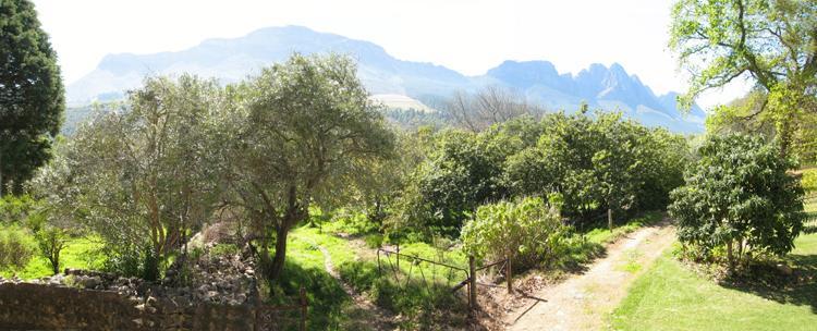Villa Kierie Kwaak Self Catering Stellenbosch Exterior foto